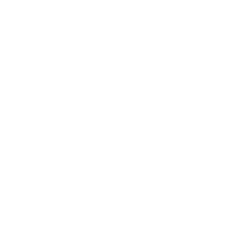 Rogue IT